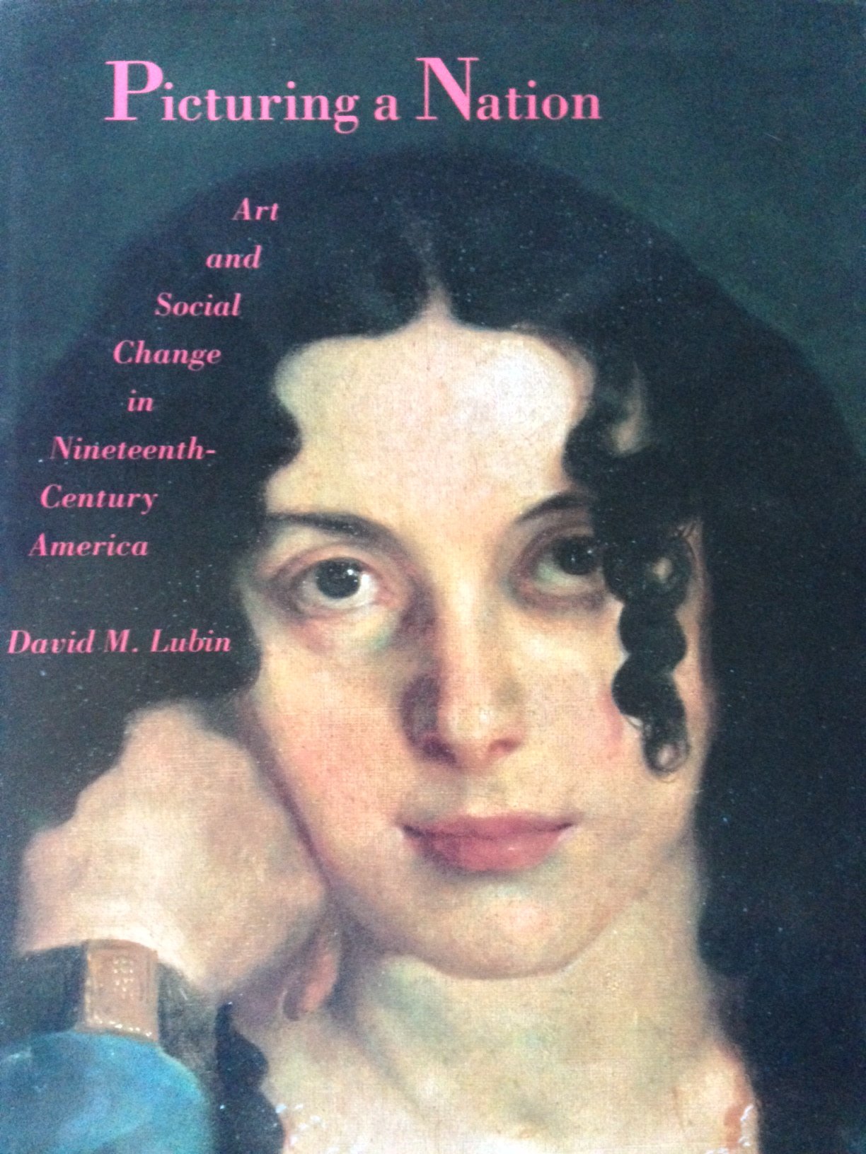 Picturing a Nation: Art and Social Change in Nineteenth-Century America book cover