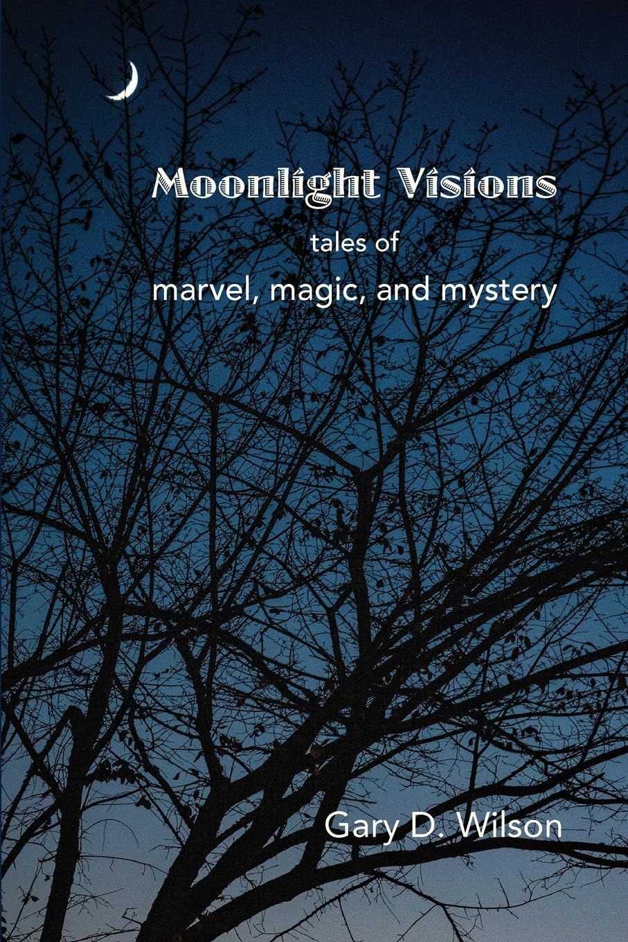 Moonlight Visions book cover