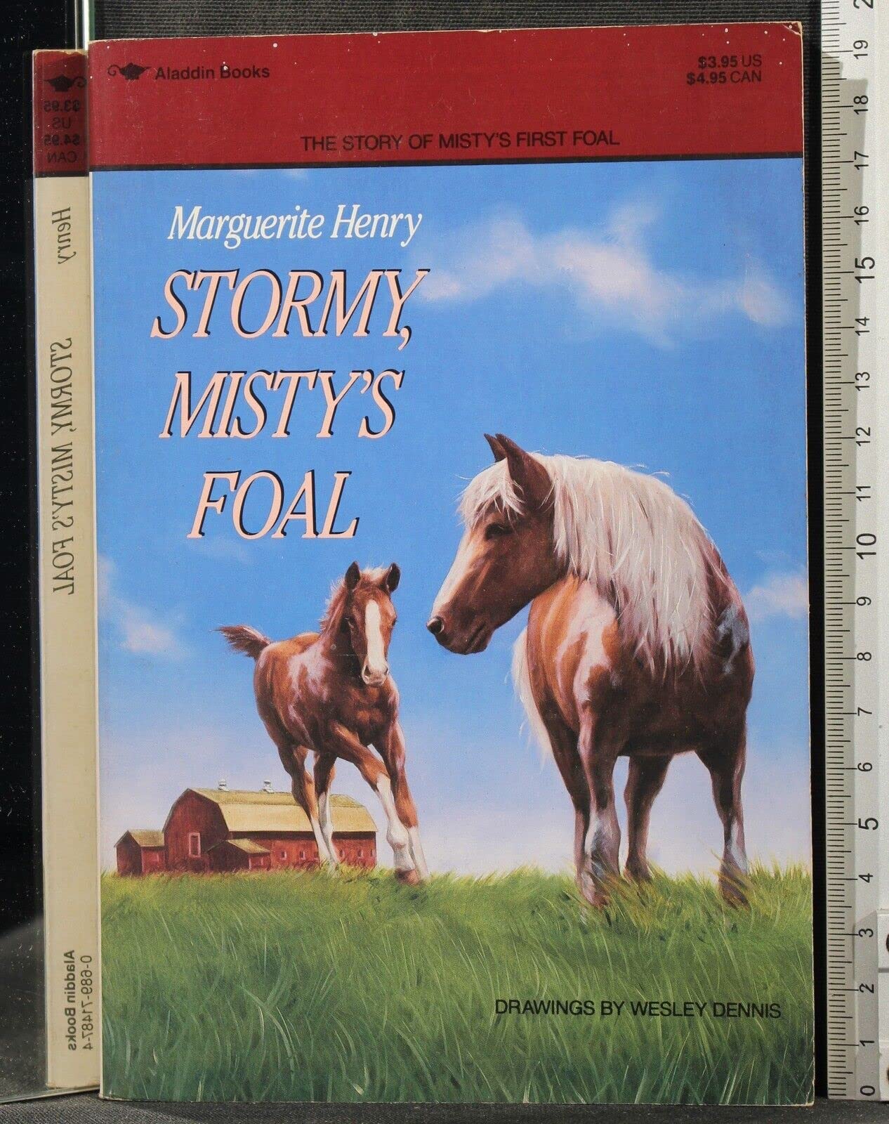 Stormy, Misty's Foal