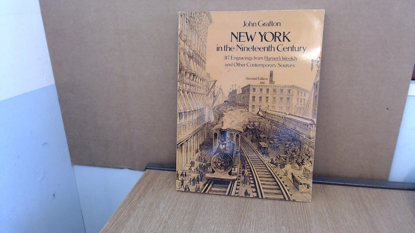 New York in the 19th Century book cover