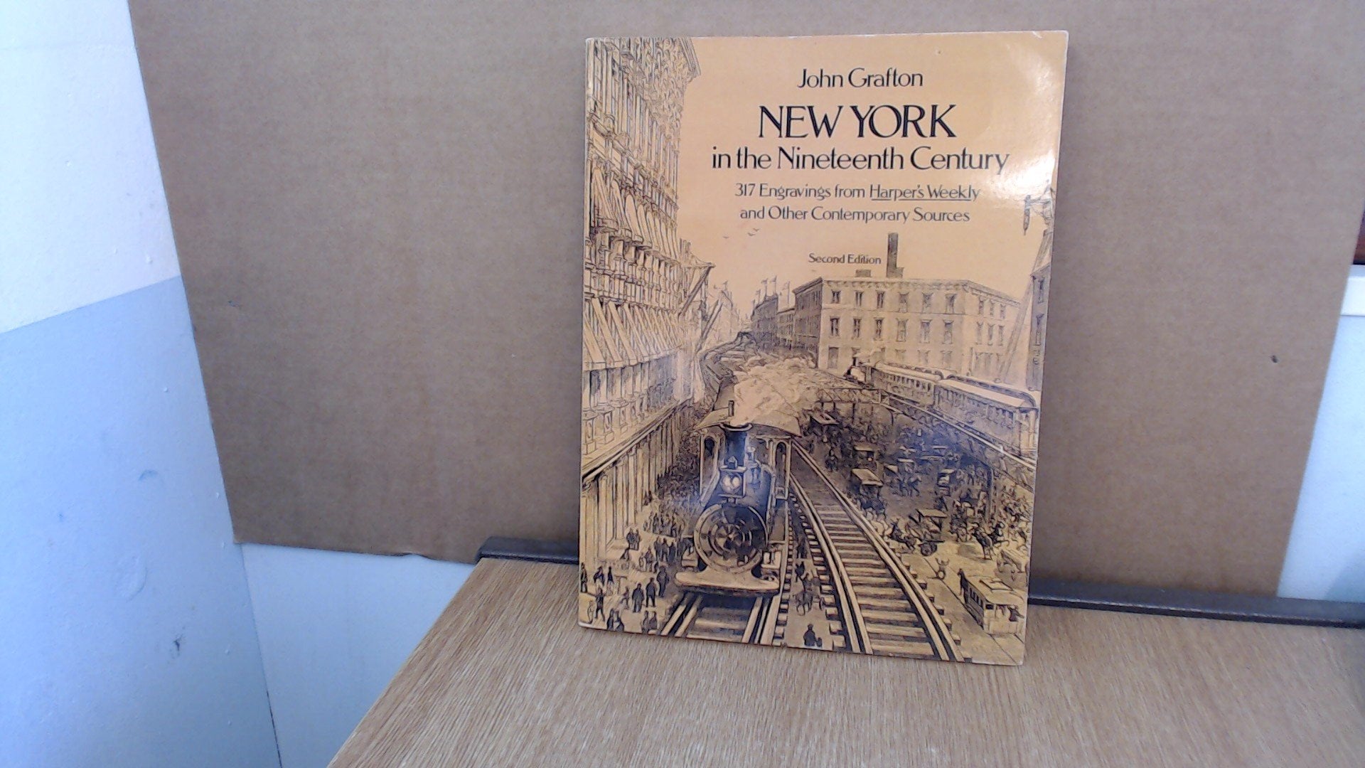 New York in the 19th Century book cover