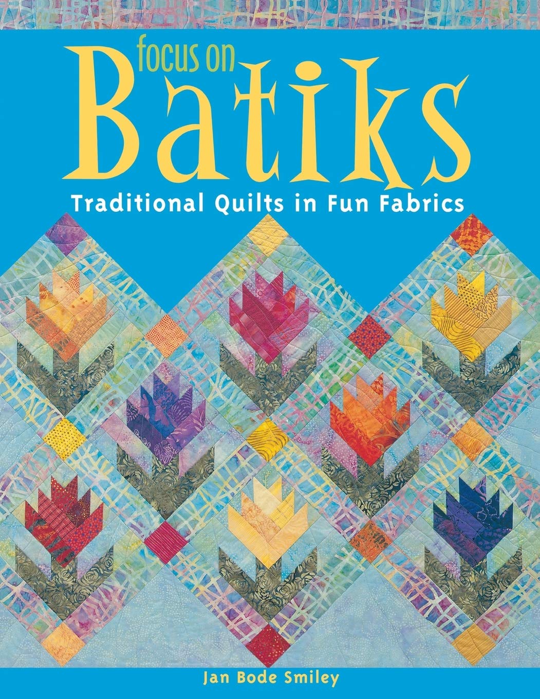 Focus on Batiks: Traditional Quilts in Fun Fabrics book cover