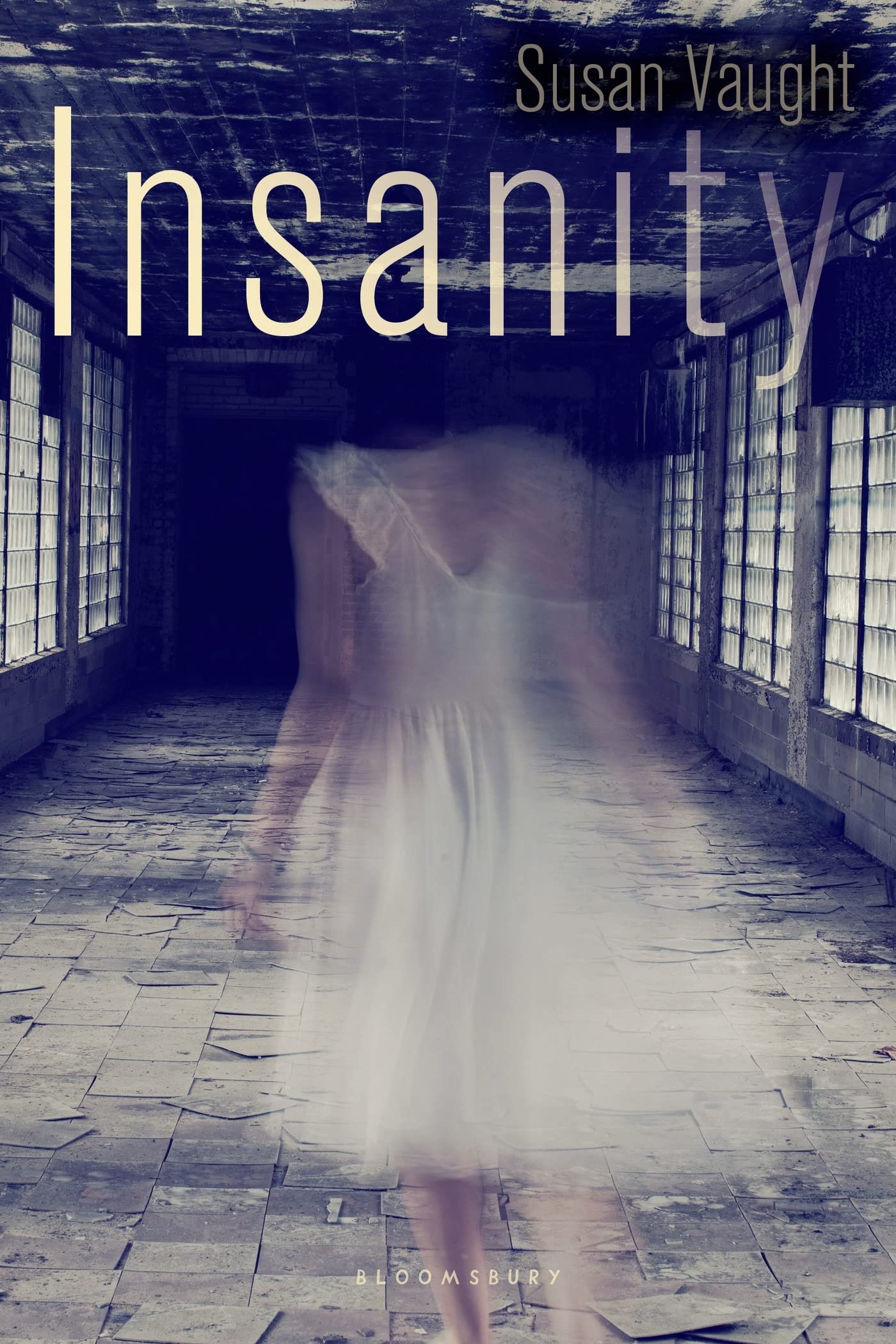 Insanity book cover