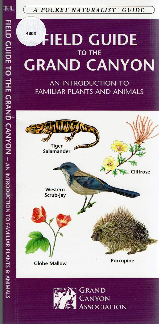 Field Guide to the Grand Canyon: An Introduction to Familiar Plants and Animals (A Pocket Naturalist Guide)