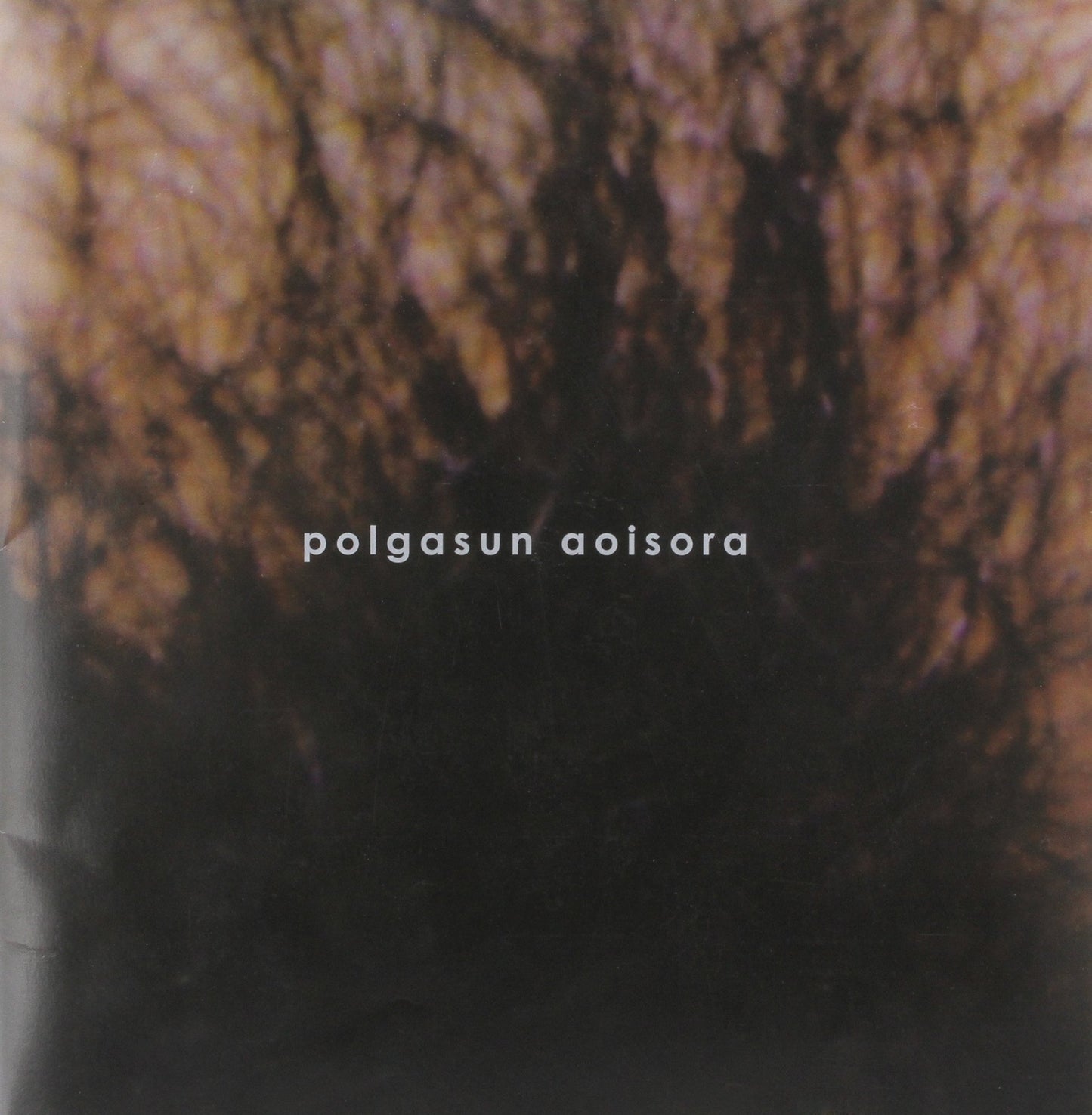 Polgasun Aoisora ​​Paperback - June, 2006 Sora Aoi book cover