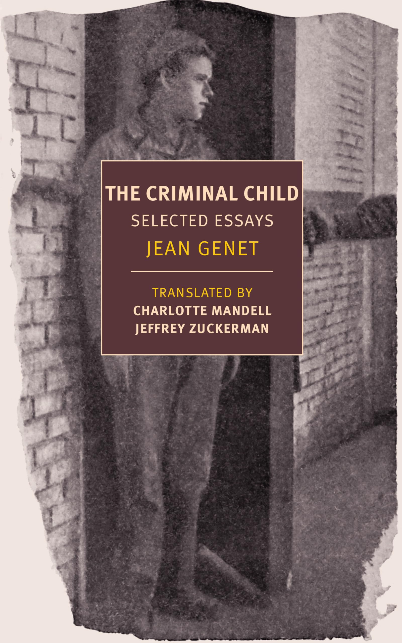 The Criminal Child book cover