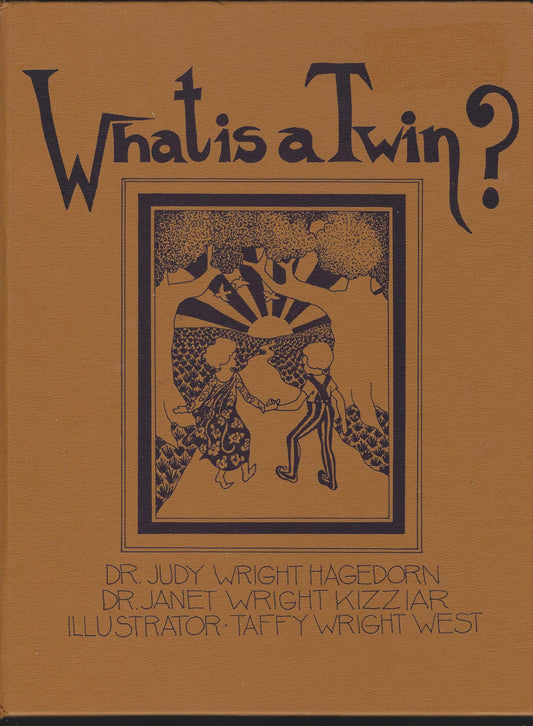 What Is a Twin book cover