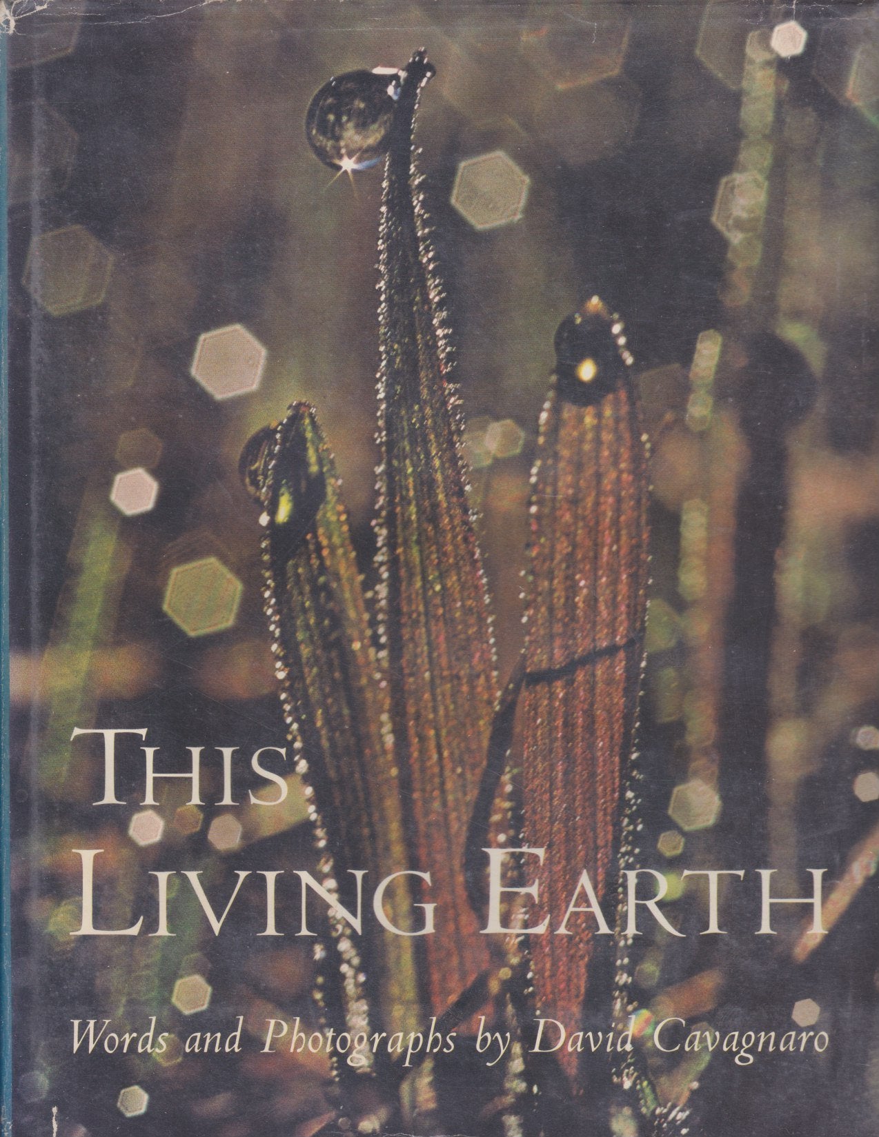 This living earth book cover