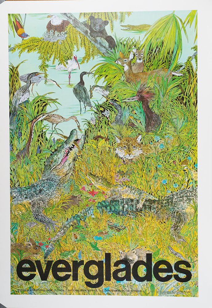 Everglades: Everglades National Park, Florida book cover
