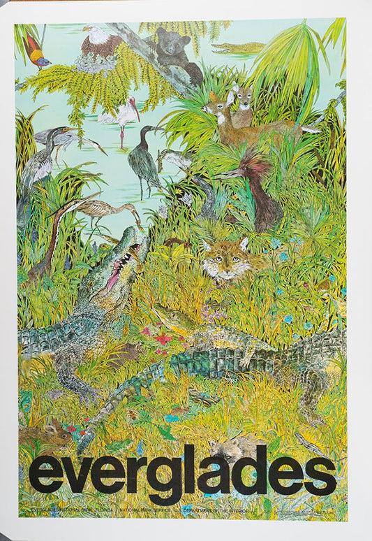 Everglades: Everglades National Park, Florida book cover