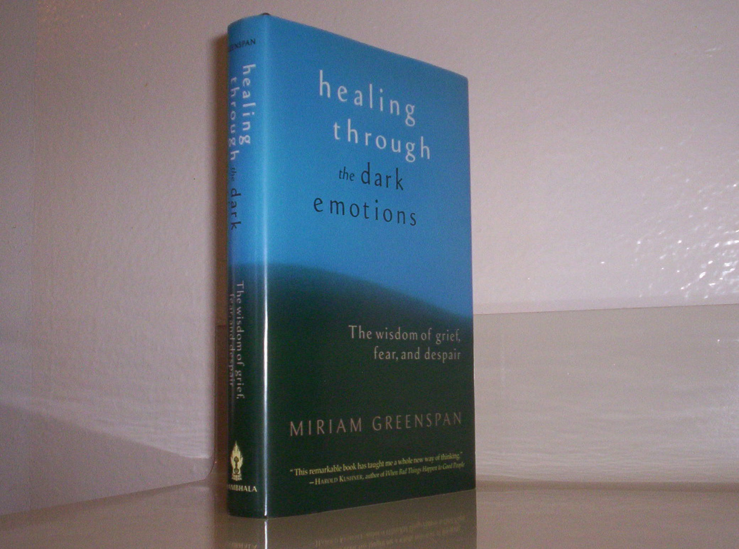 Healing Through the Dark Emotions: The Wisdom of Grief, Fear, and Despair