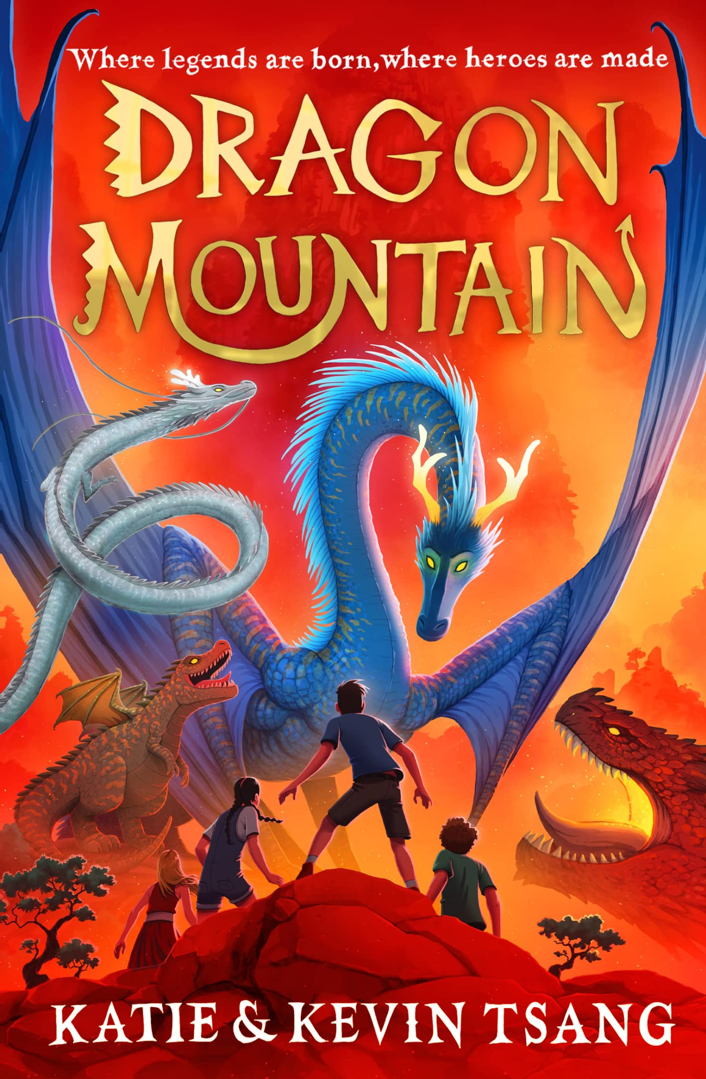 Dragon Mountain: Dragon Realm book cover