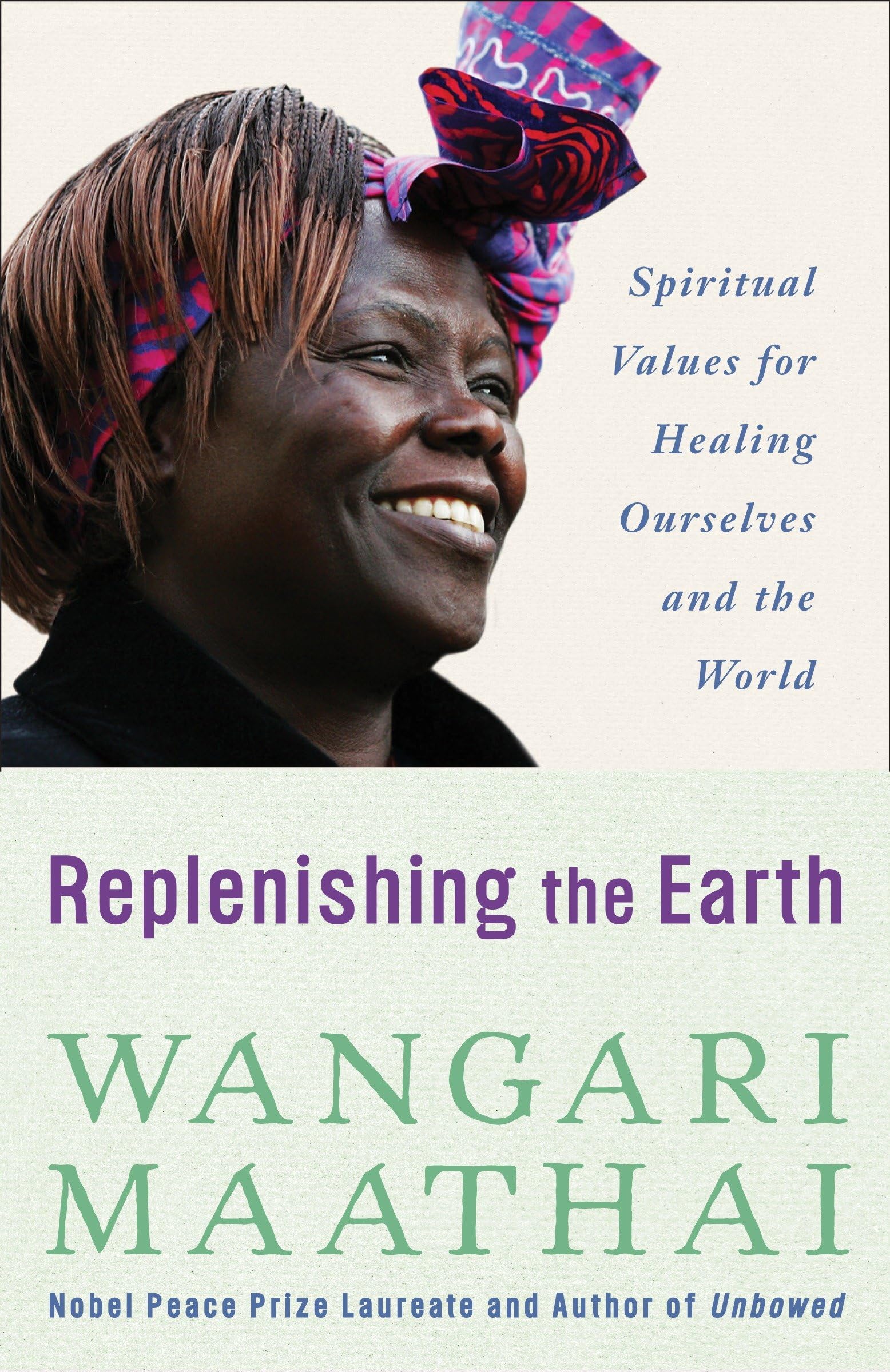 Replenishing the Earth: Spiritual Values for Healing Ourselves and the World book cover