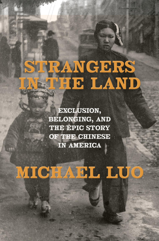 Strangers in the Land book cover