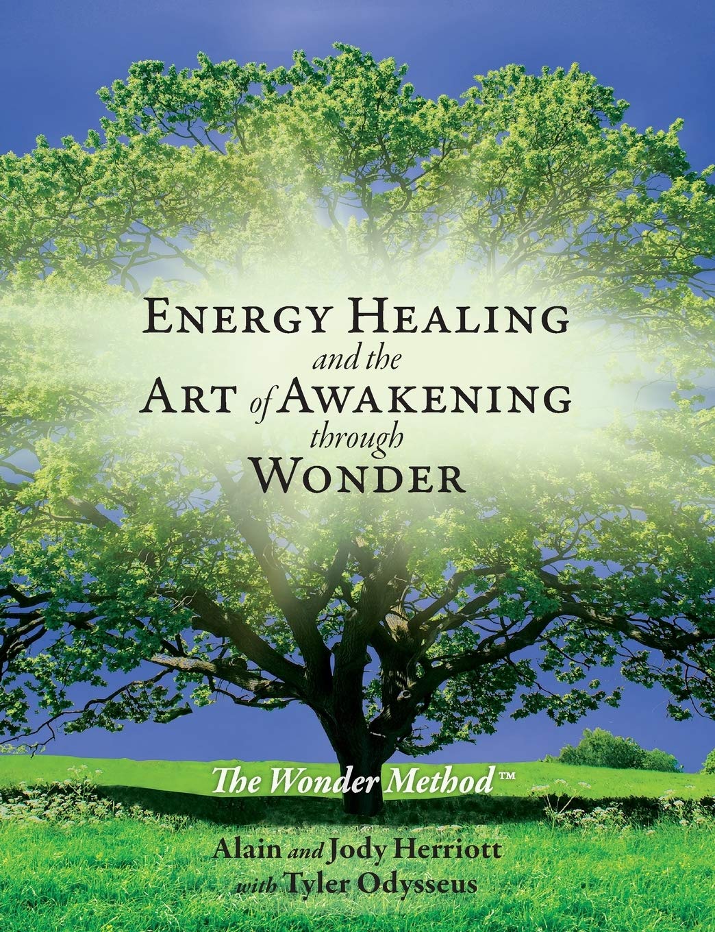 Energy Healing and The Art of Awakening Through Wonder book cover