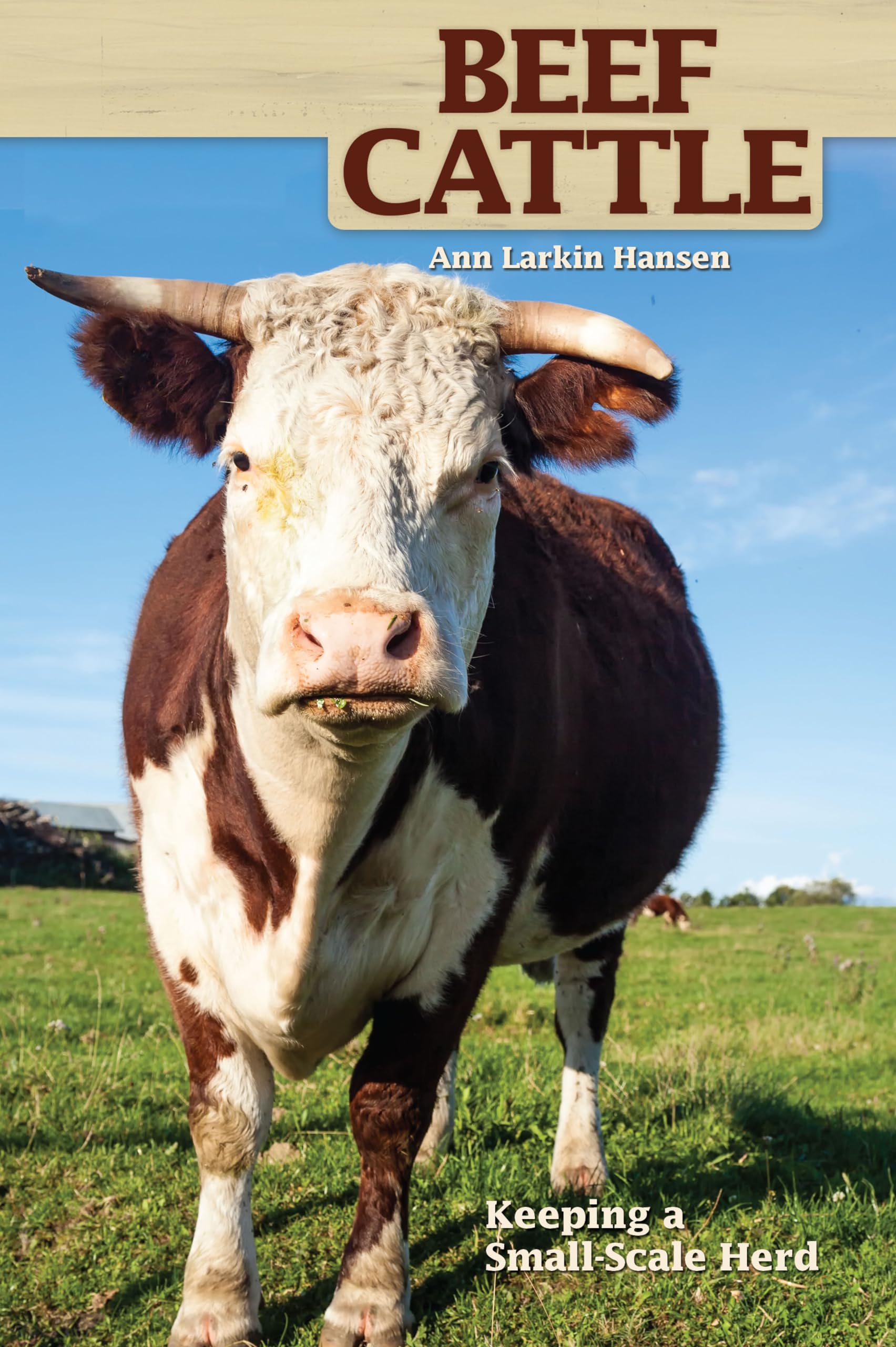 Beef Cattle: Keeping a Small-Scale Herd for Pleasure and Profit book cover
