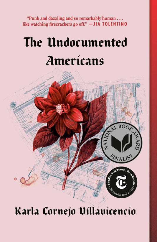 Undocumented Americans
