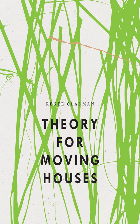 Theory for Moving Houses book cover
