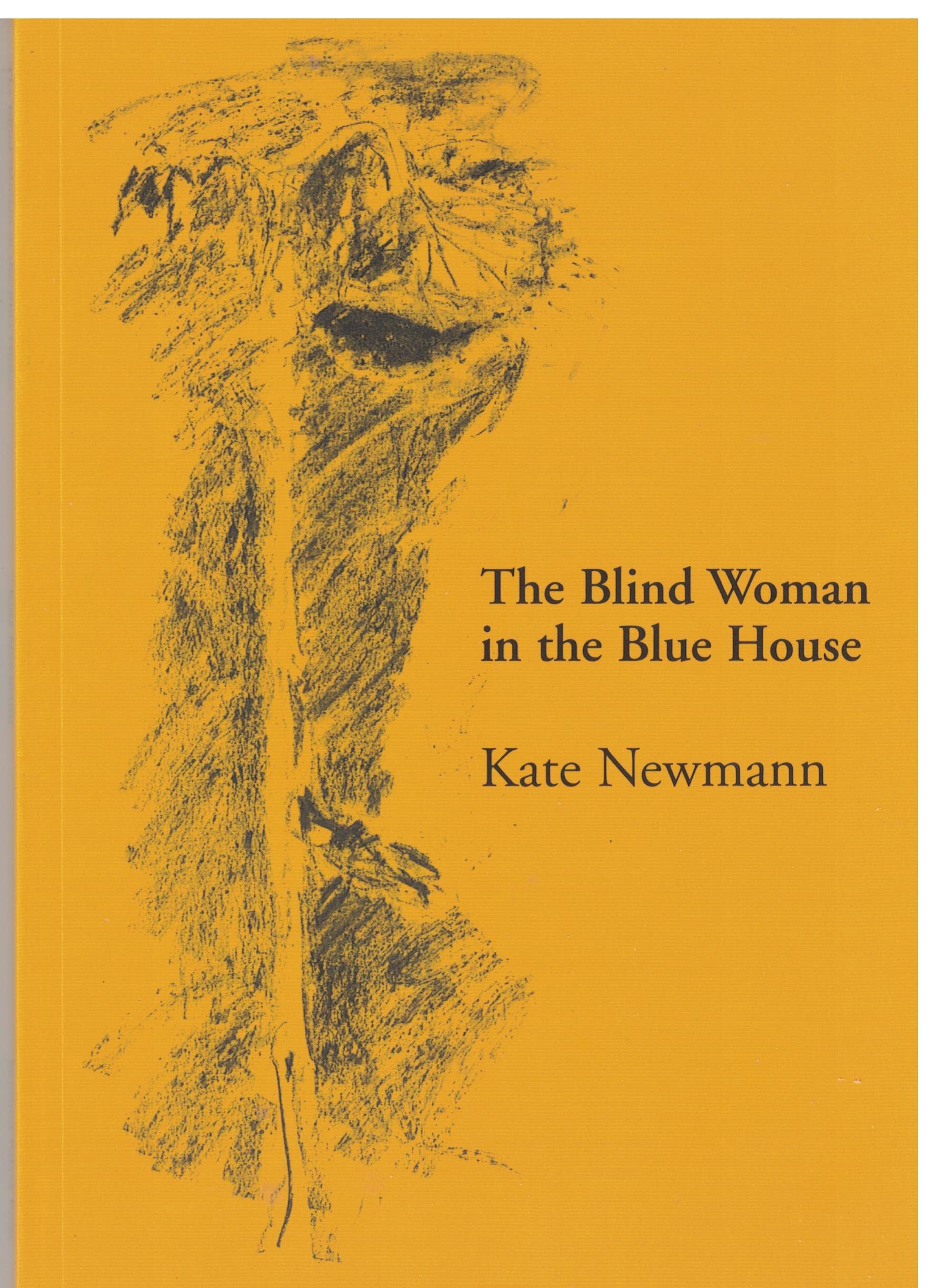 Blind Woman in the Blue House book cover