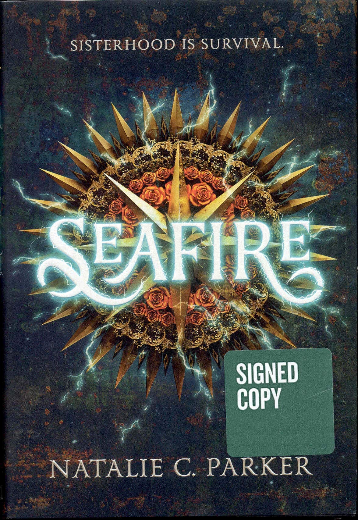 Seafire book cover