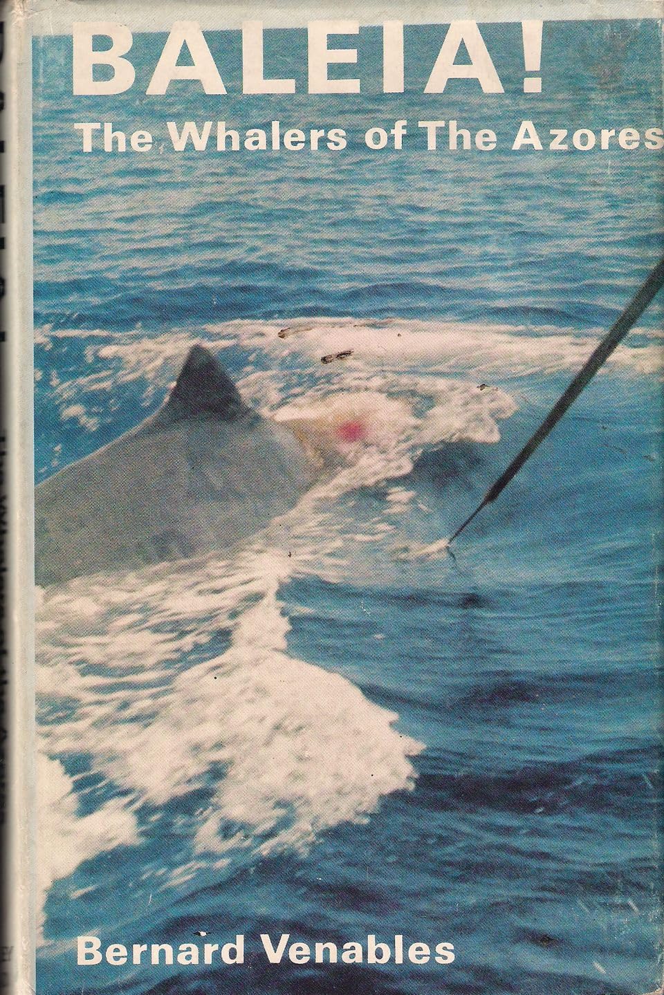Baleia!: The Whalers of the Azores book cover