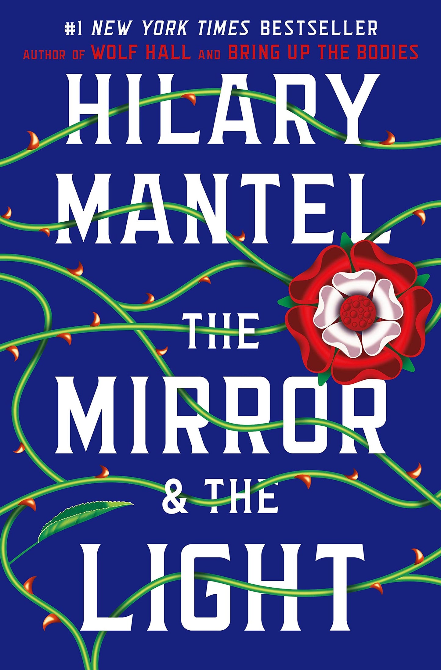 Mirror & the Light book cover