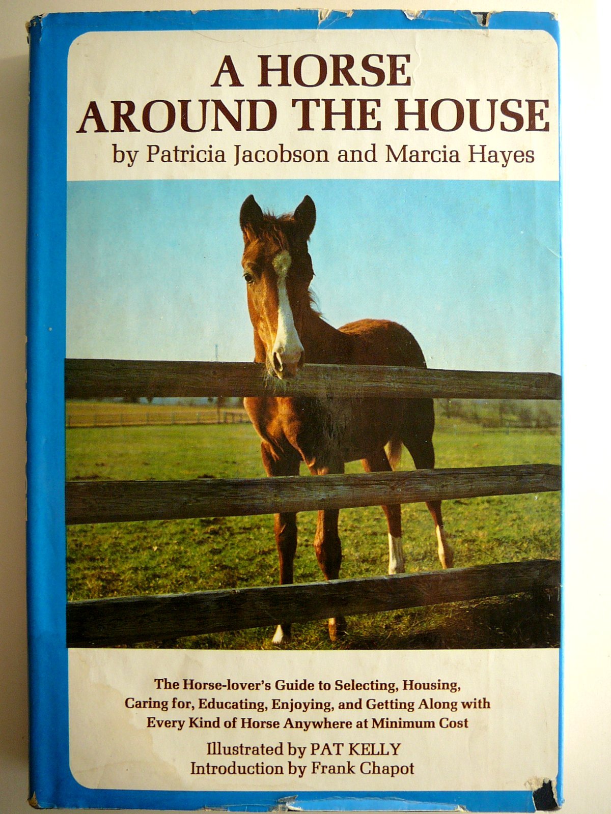Horse Around the House book cover
