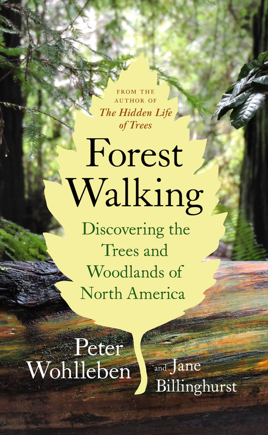 Forest Walking: Discovering the Trees and Woodlands of North America book cover