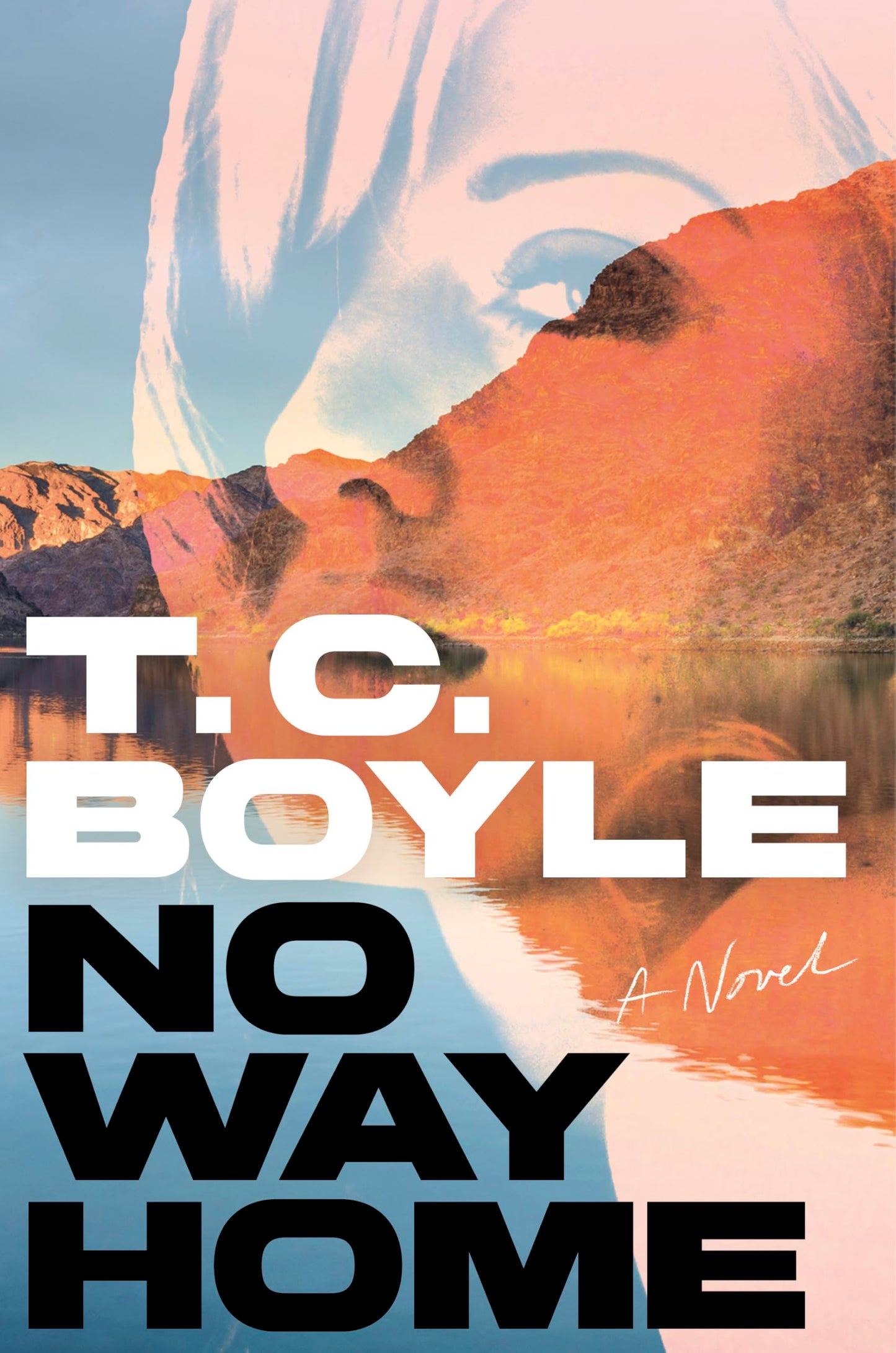 No Way Home book cover
