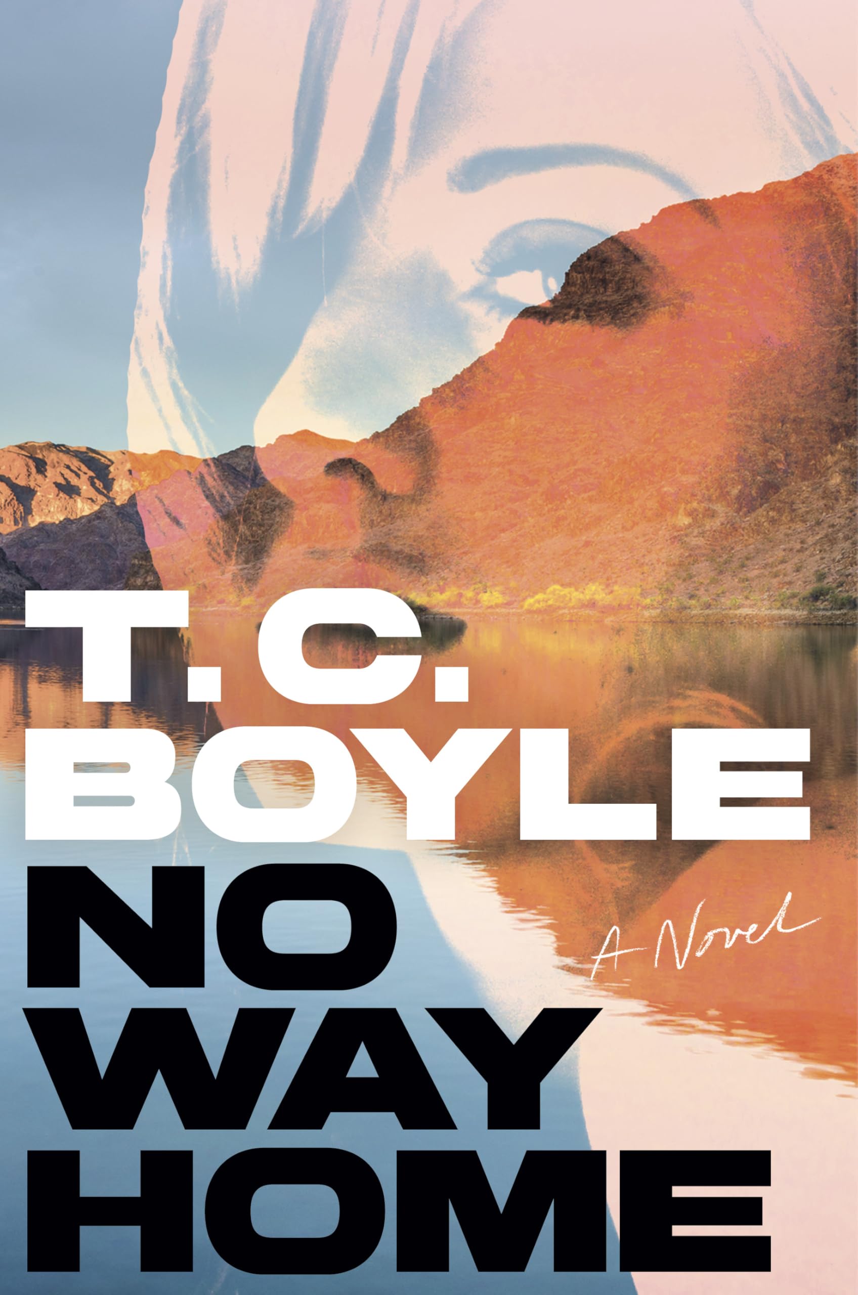 No Way Home book cover