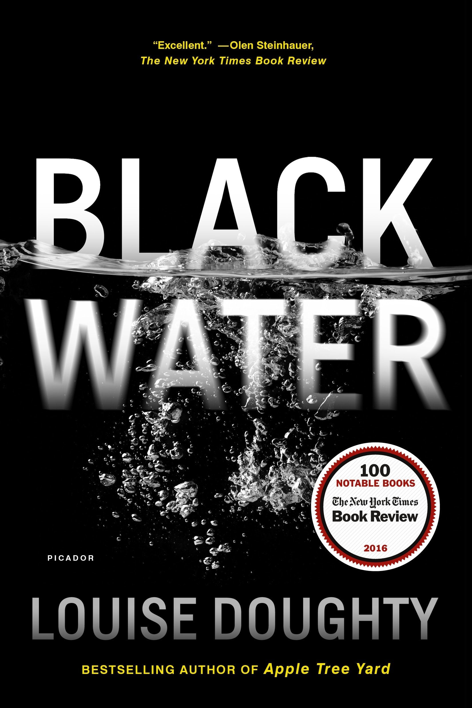 Black Water book cover