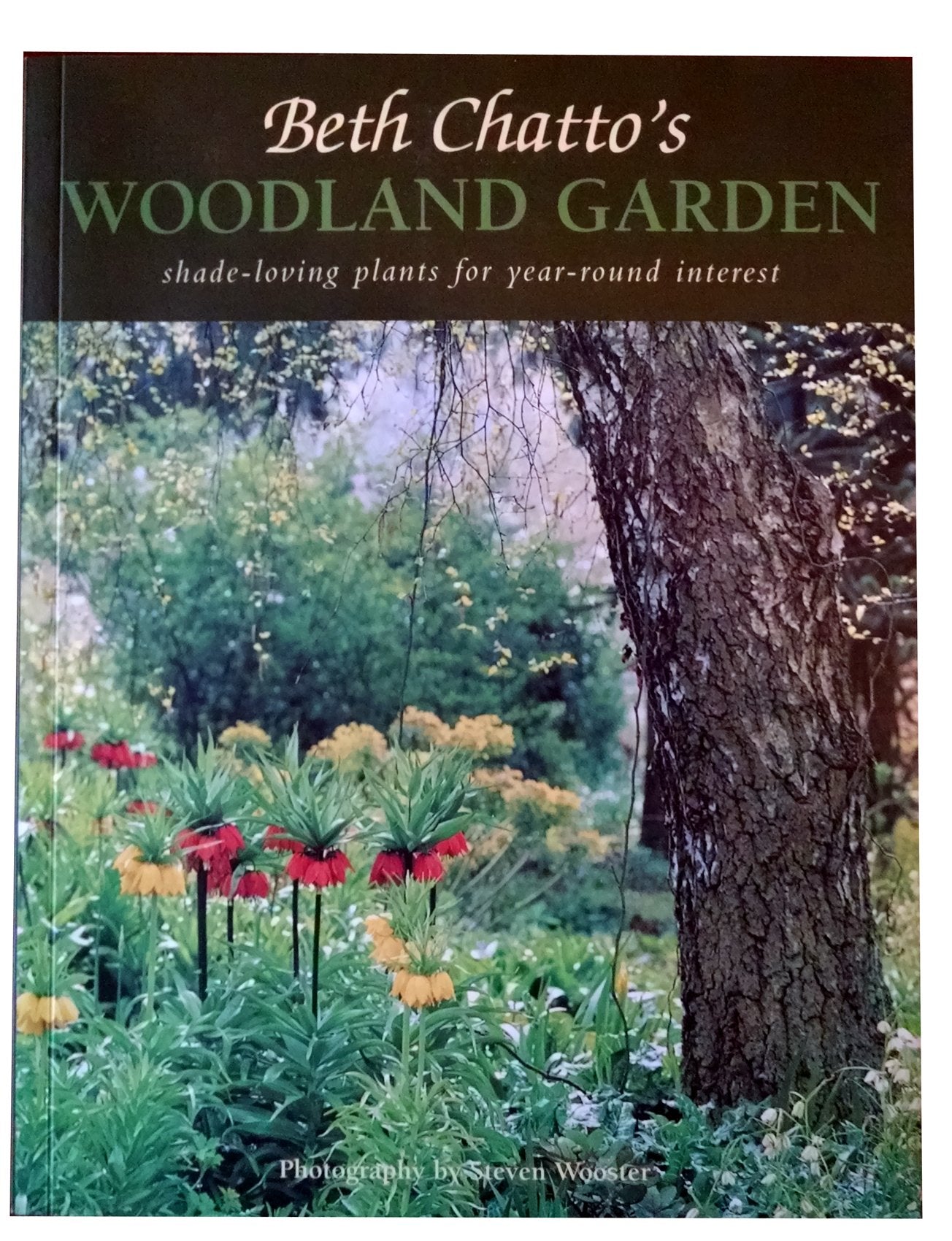 Beth Chatto's Woodland Garden: Shade-Loving Plants for Year-Round Interest book cover