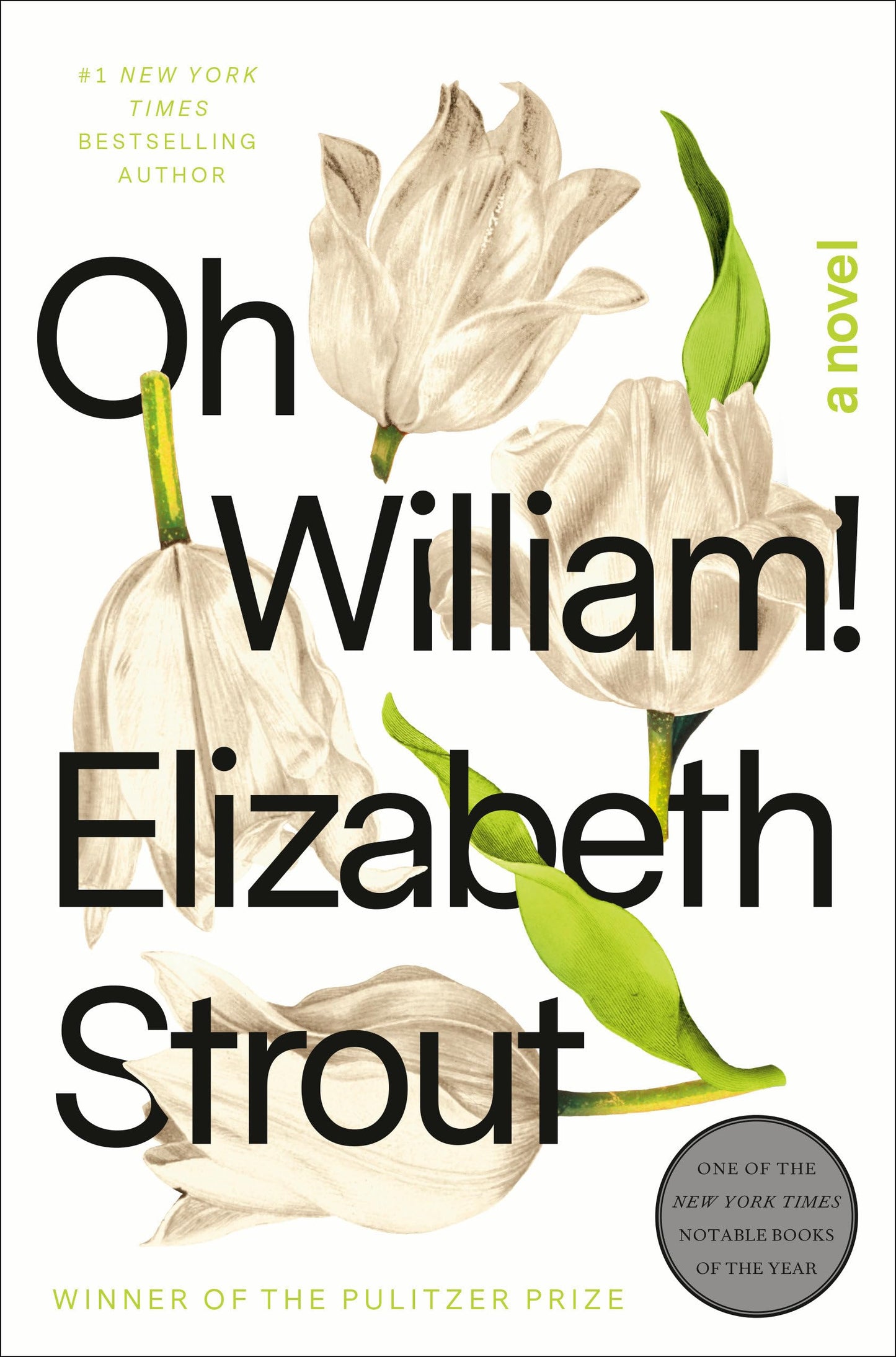 Oh William! book cover