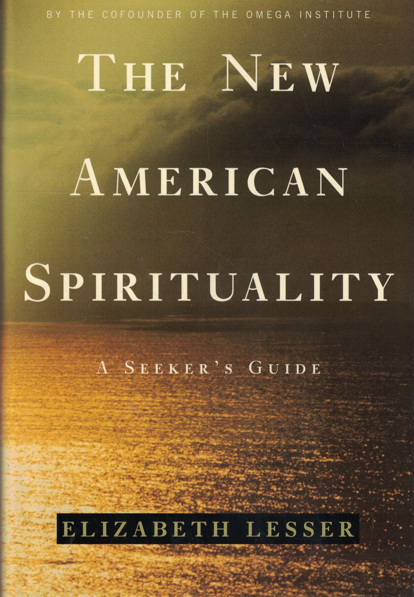 New American Spirituality: A Seeker's Guide book cover