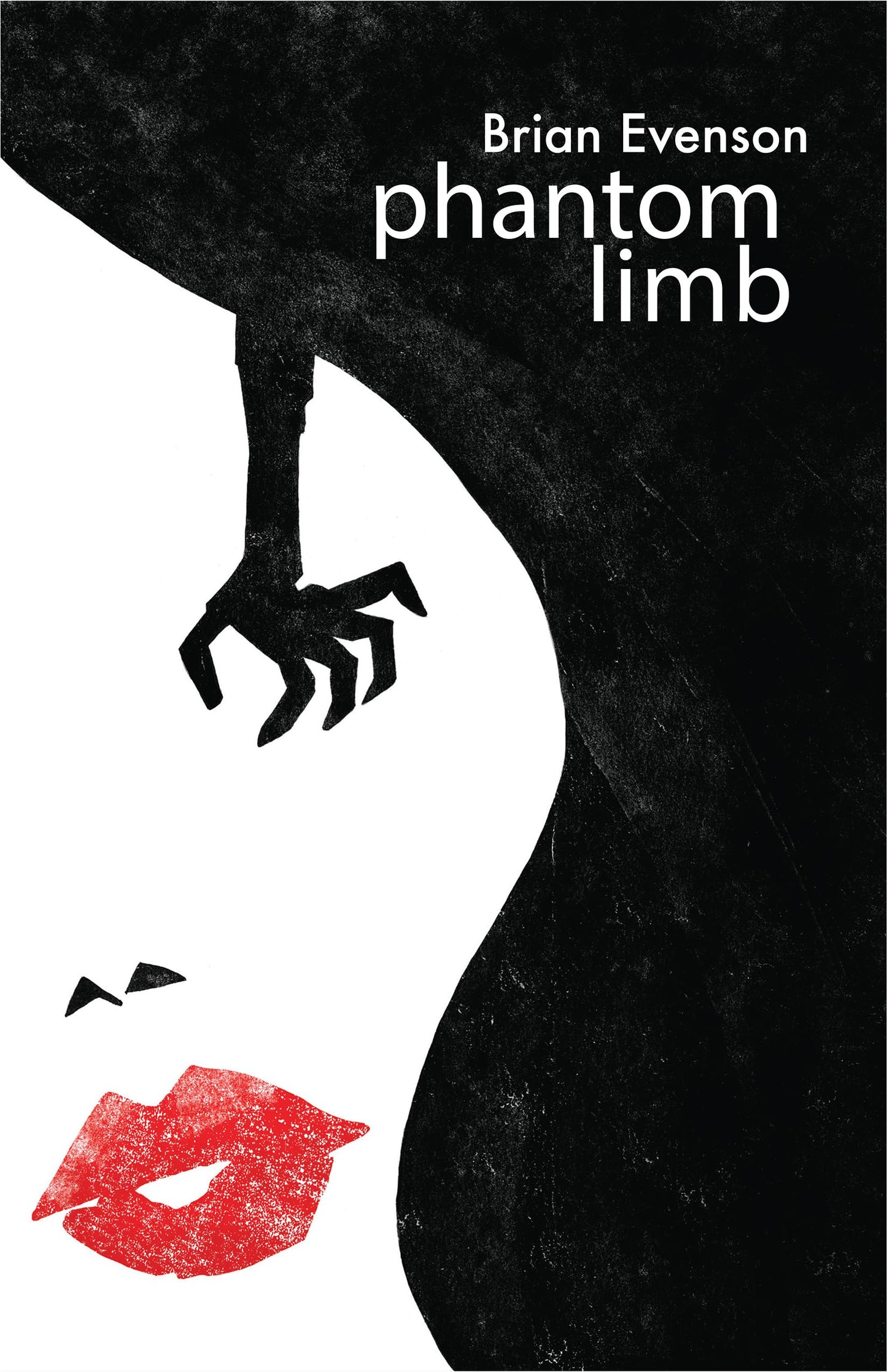 Phantom Limb book cover
