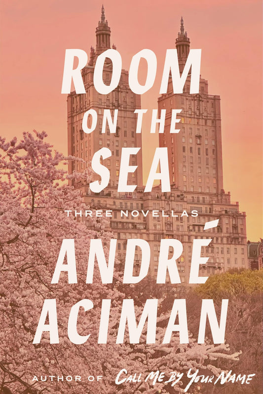 Room on the Sea book cover