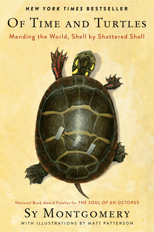 Of Time and Turtles: Mending the World, Shell by Shattered Shell book cover