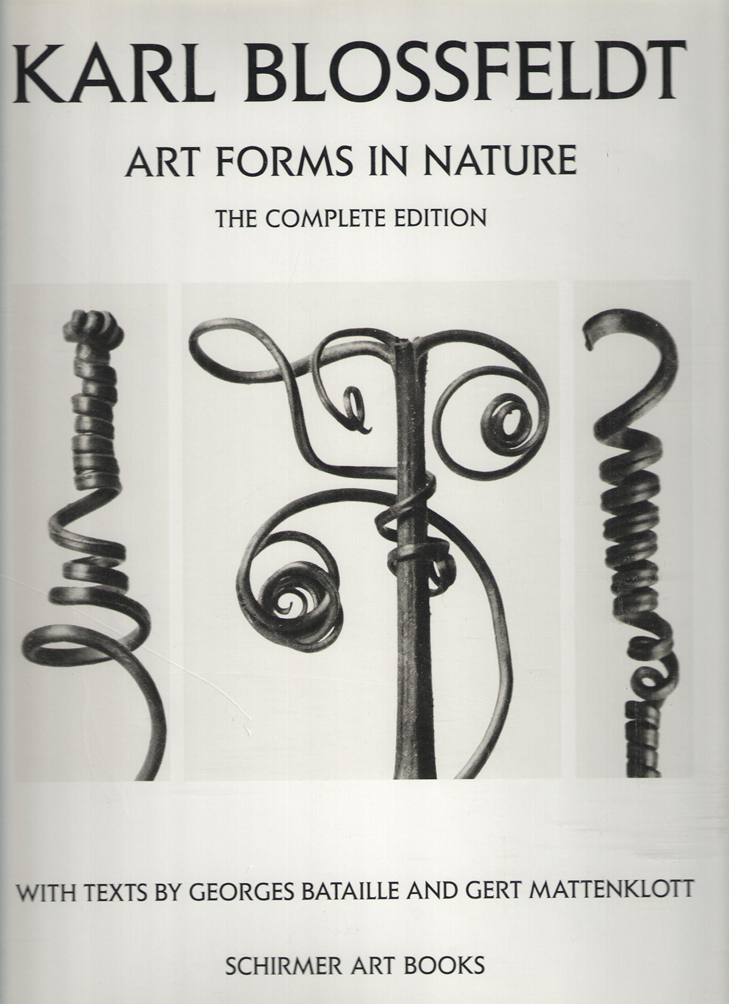 Karl Blossfeldt: Art Forms in Nature (The Complete) book cover