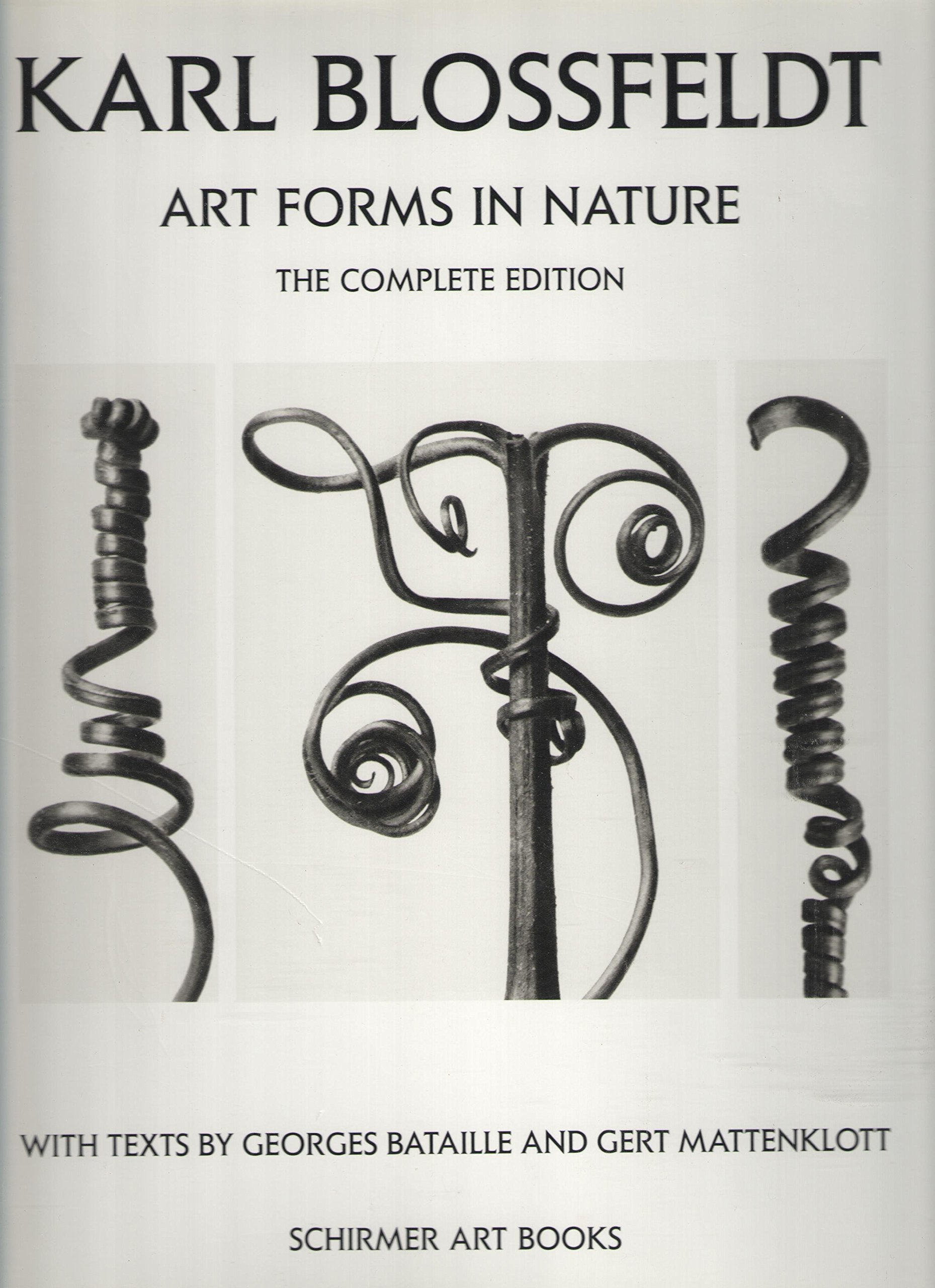 Karl Blossfeldt: Art Forms in Nature (The Complete) book cover