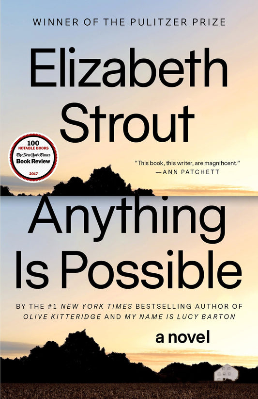 Anything Is Possible book cover