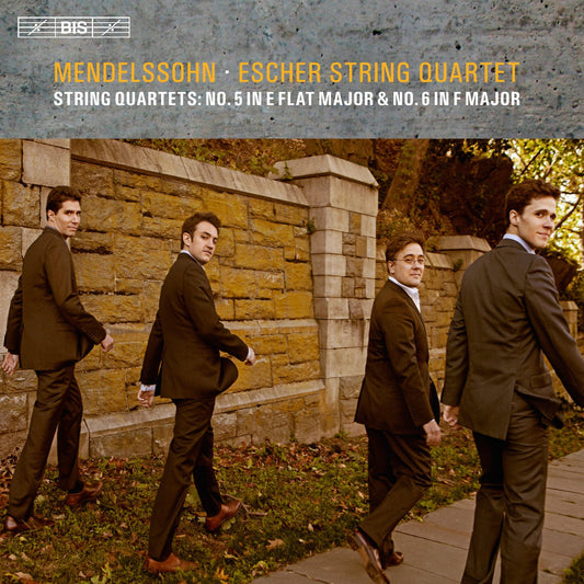 Mendelssohn: String Quartets 5 & 6 book cover