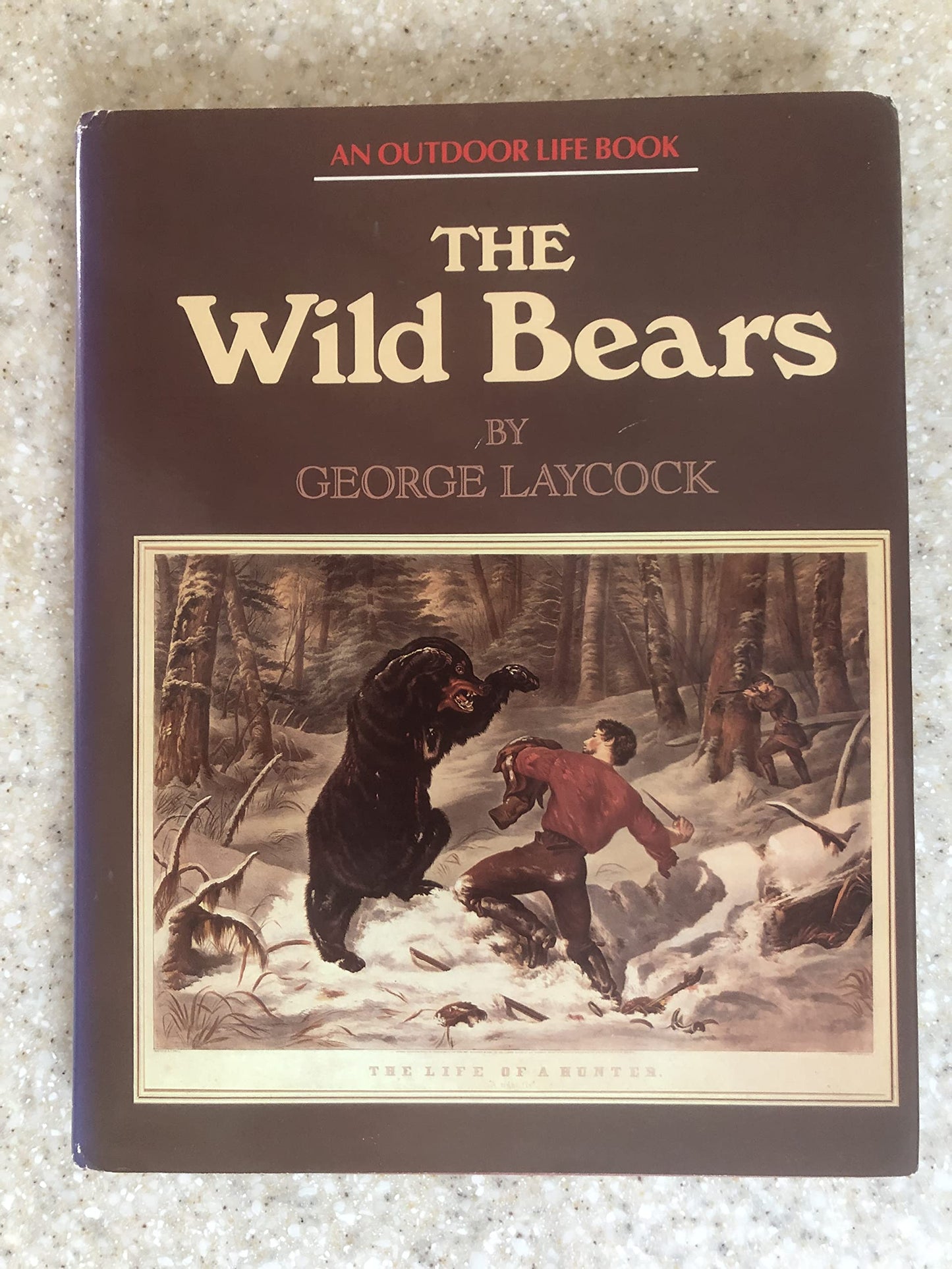 The Wild Bears book cover