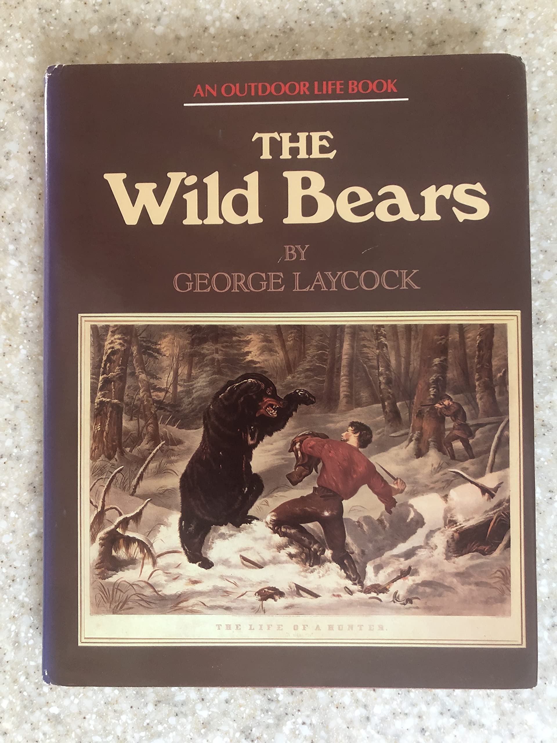 The Wild Bears book cover