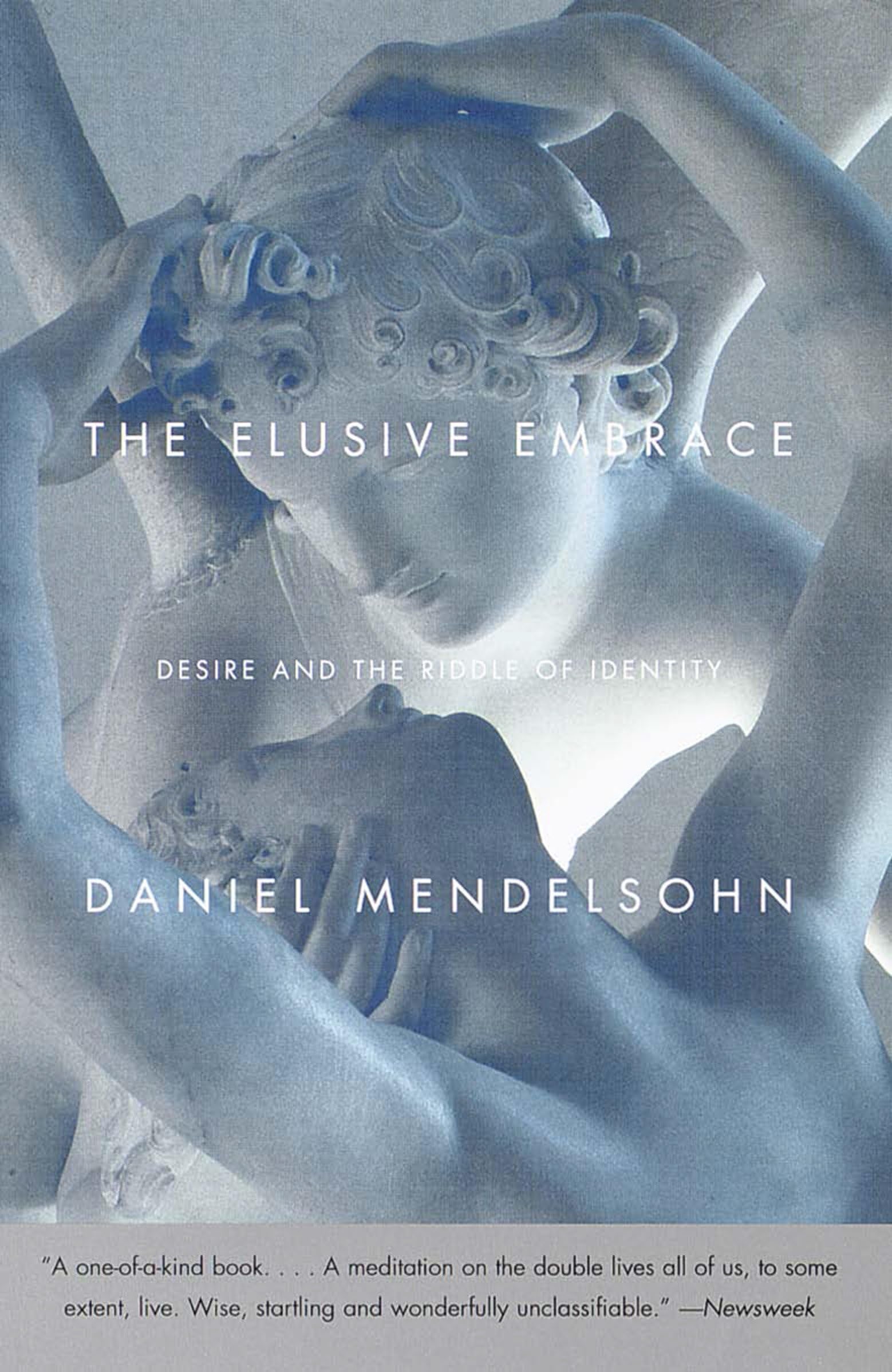 Elusive Embrace: Desire and the Riddle of Identity book cover