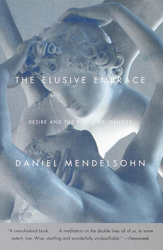Elusive Embrace: Desire and the Riddle of Identity book cover