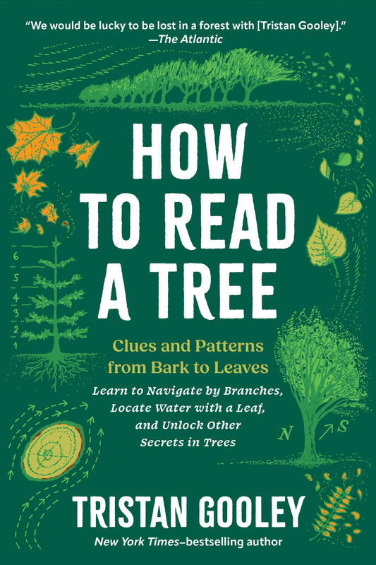 How to Read a Tree book cover