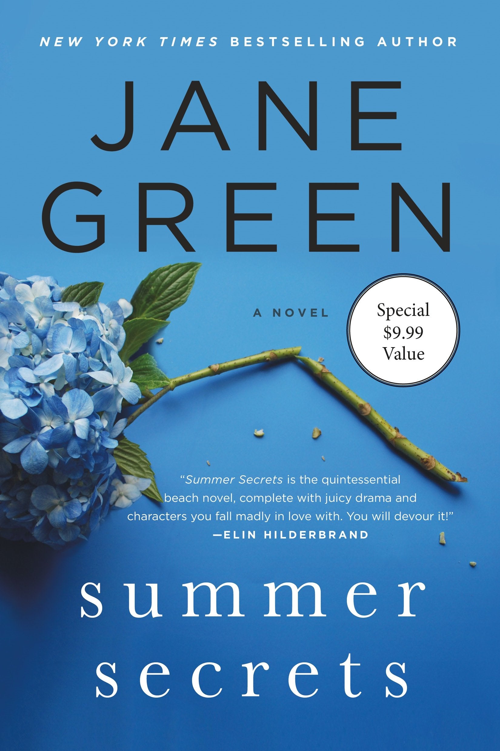 Summer Secrets: A Novel book cover
