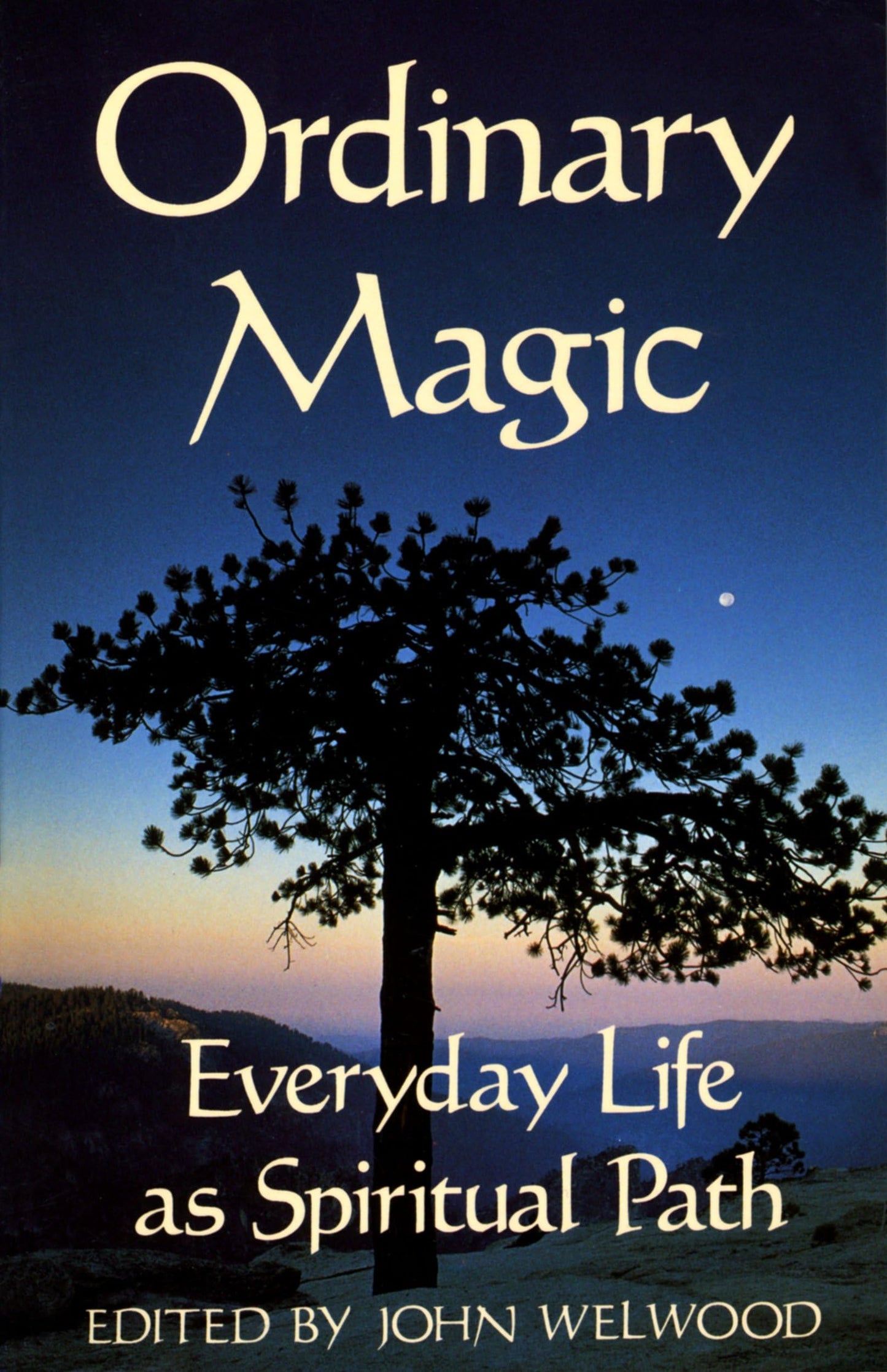 Ordinary Magic: Everyday Life as Spiritual Path book cover