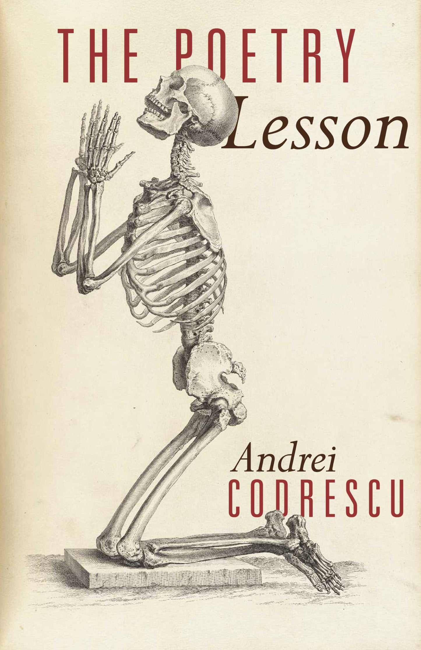 Poetry Lesson book cover