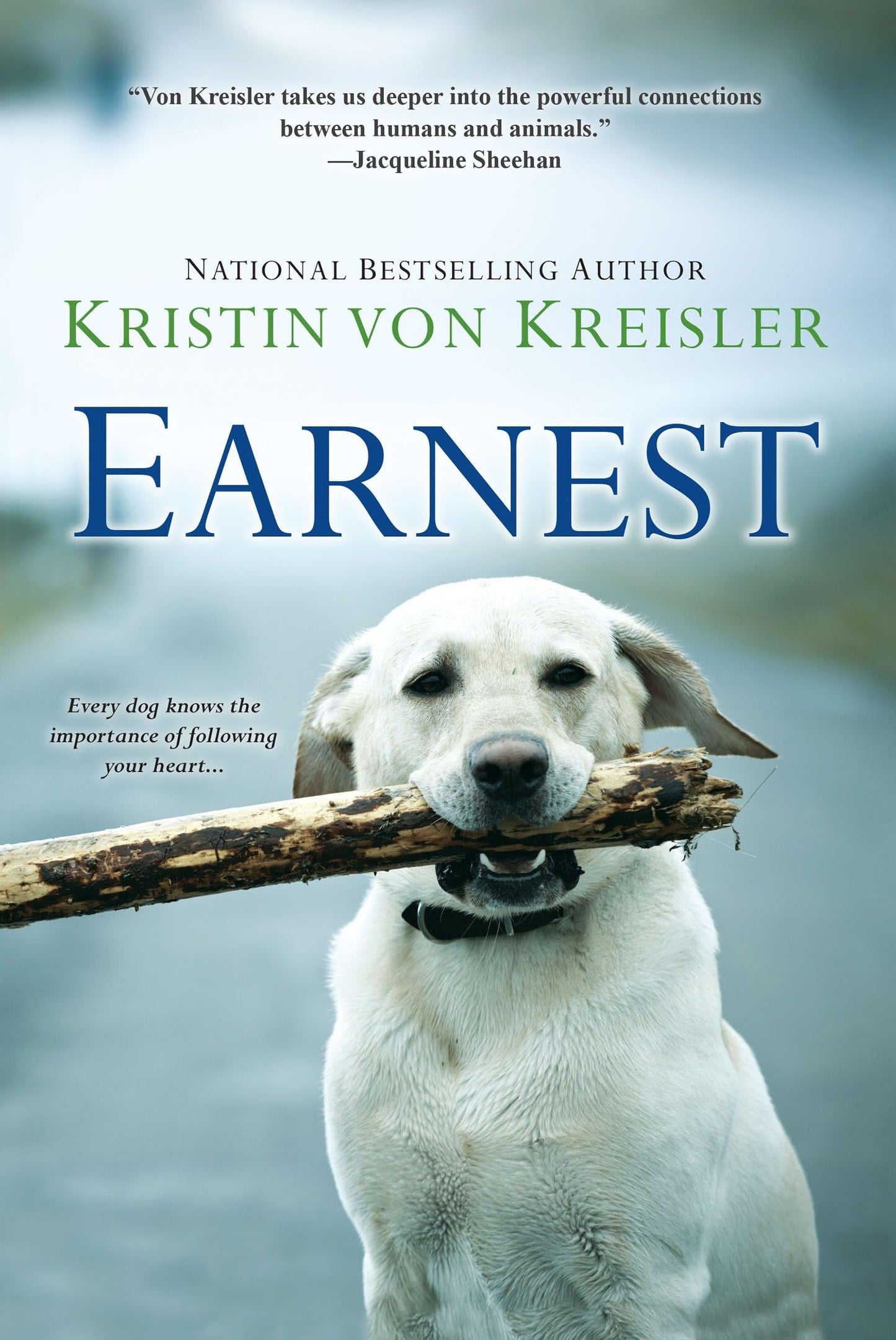 Earnest book cover